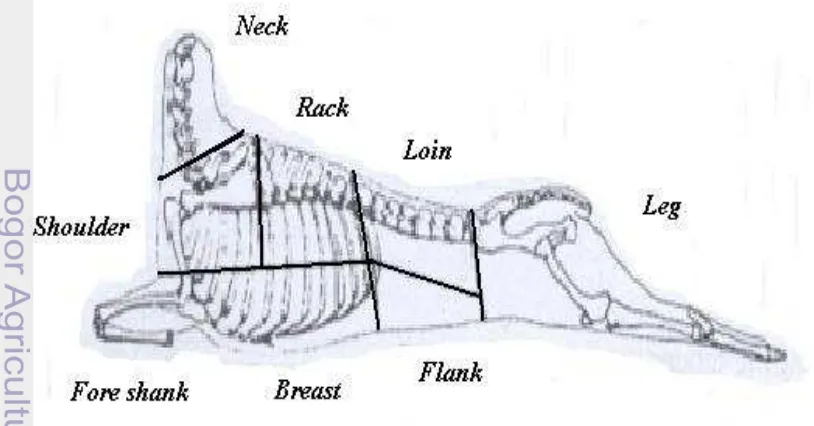 Gambar   7  Potongan komersial karkas domba (Dimodifikasi dari  Aberle et al. 