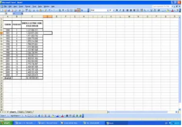 Gambar 5.3: Tampilan Microsoft Excel Pengisian Data 