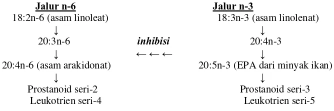 Gambar 4  Jalur metabolisme asam lemak esensial dari prekursor n-3 dan n-6                    (McCowen & Bistrian 2003) 