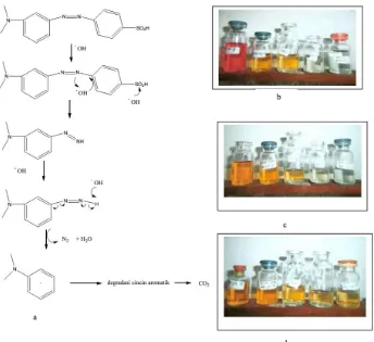 Gambar 4. a. Mekanisme degradasi metil orange, dan perubahan warna metil orange pada b) pH 3; c) pH 7 dan d) pH 10