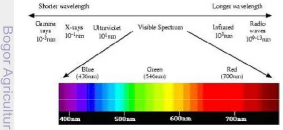 Gambar 1.Visible spectrum (Suhendra 2011) 