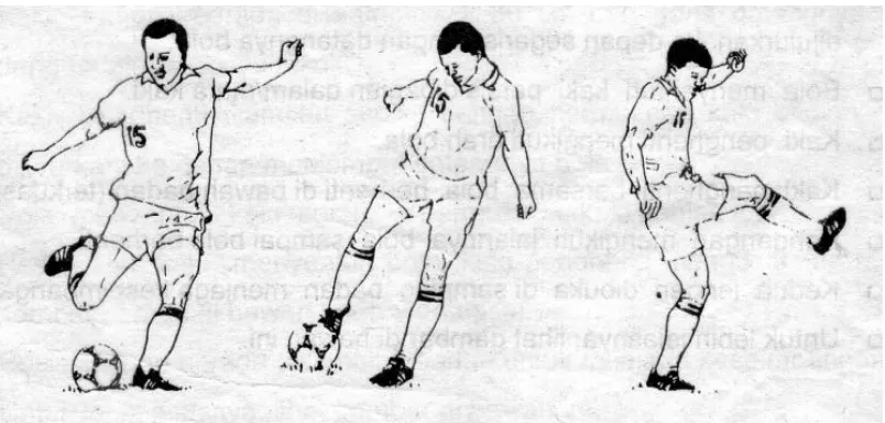 Gambar 4. Menendang dengan punggung kaki bagian dalam  2)   Menghentikan bola (Stopping)/Menerima bola 