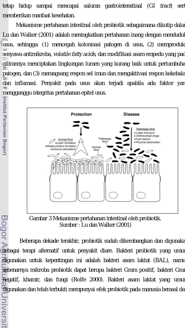 Gambar 3 Mekanisme pertahanan intestinal oleh probiotik. 