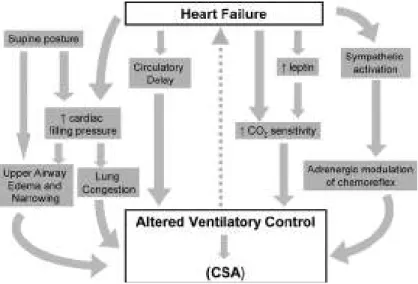 Gambar 4. Alur kemungkinan terjadinya Henti Napas tipe Sentral (CSA) pada penyakit jantung Kongestif                                  