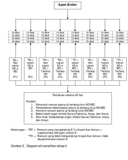 Gambar 5.  Diagram alir penelitian tahap II 