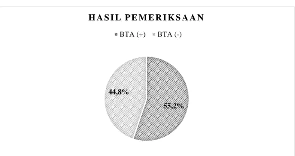 Gambar 8. Diagram pie distribusi proporsi penderita tuberkulosis paru pada usia  dewasa berdasarkan hasil pemeriksaan di Rumah Sakit Umum Haji Medan tahun  2017