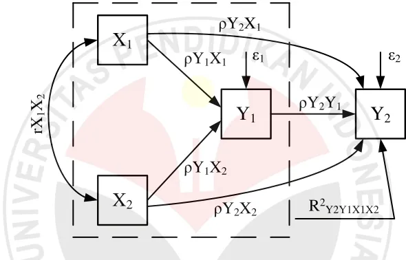 Gambar 3.1. Diagram jalur yang menyatakan hubungan kausal X1,X2 ke Y1 dan Y2 