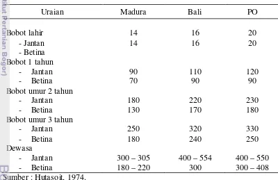 Tabel 3    Bobot hidup Sapi Madura, Sapi Bali, dan sapi PO/SO menurut umur 