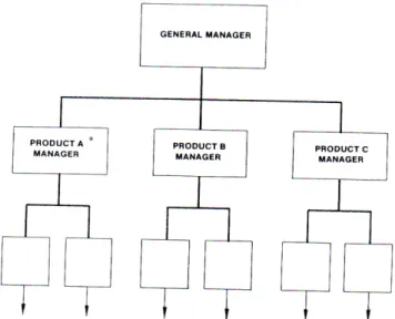 Gambar V.5. struktur organisasi murni berdasarkan produk  (Sumber: Kerzner, 1980, 42) 