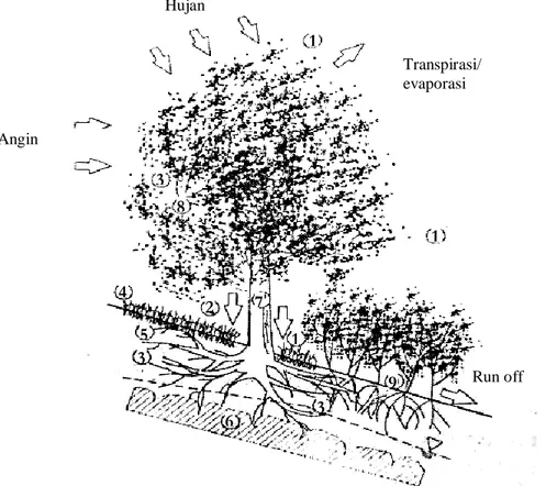 Gambar  (Figure)  1.  Pengaruh  hidromekanik  tumbuh-tumbuhan  pada  stabilitas  lereng  (The  hydromechanics 
