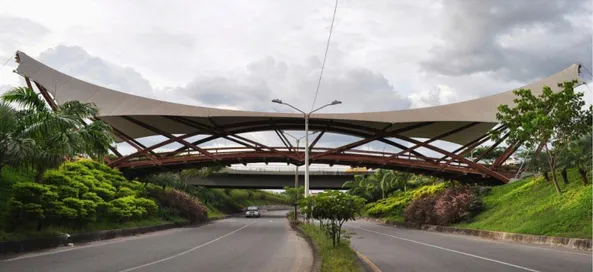 Gambar 1.7 Jembatan Guadua, Colombia (Emery, 2003) 