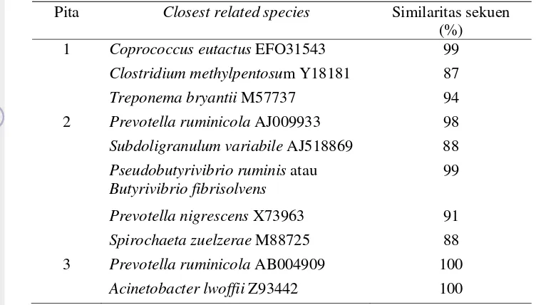Tabel 5.  Identifikasi bakteri pada pita-pita baru hasil DGGE pada kultur yang mendapat perlakuan 1 mg/ml ekstrak lerak 