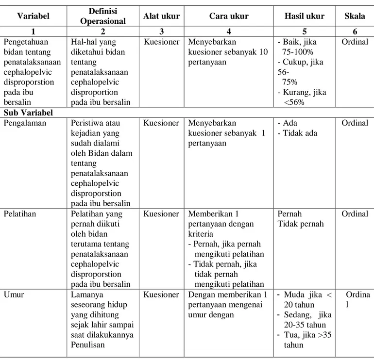 Tabel 3.1 Definisi Operasioanal  