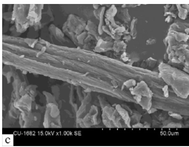 Gambar 4. Nanoselulosa dari ampas tebu (hasil pengamatan dengan Scanning Electron  Microscope) 