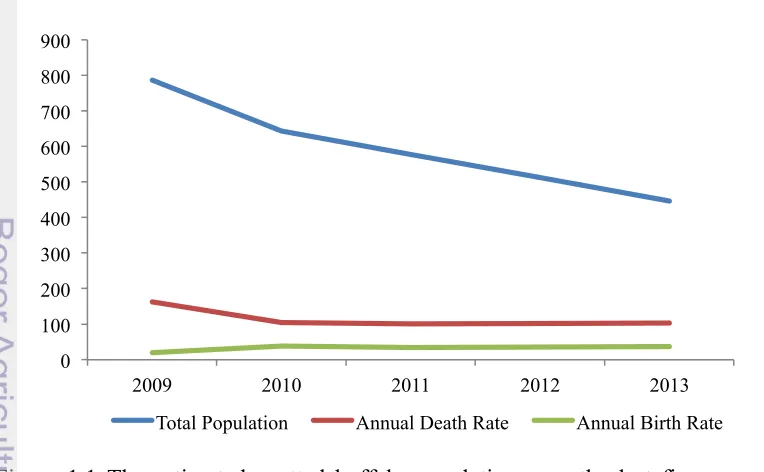 Figure 1.1 The estimated spotted buffalo population over the last five years in Northern Toraja District (source: Governmental Animal Husbandry Division of Northern Toraja District, unpublished data)