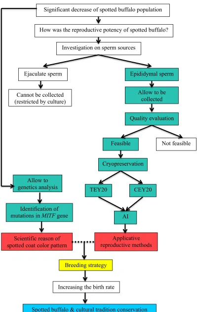 Figure 1.2 The framework of study. Green boxes: experiments, red boxes: outputs, yellow box: implementations, and light blue box: outcome