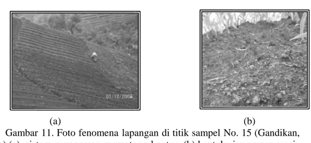 Gambar 11. Foto fenomena lapangan di titik sampel No. 15 (Gandikan,  Tretep) (a). sistem penanaman memotong kontur, (b) bentuk sisa proses erosi 