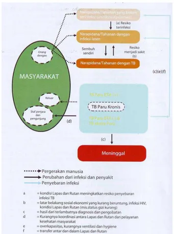 Gambar 2.1. Penyebaran Tuberkulosis Paru di dalam dan luar Penjara 