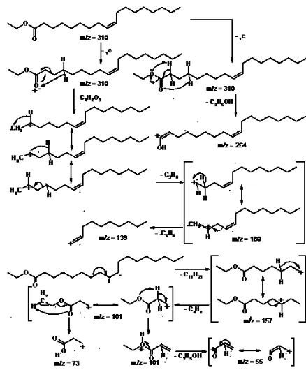 Gambar 7. Mekanisme fragmentasi molekul 