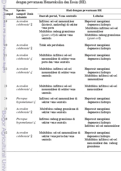 Tabel 1  Perbandingan gambaran histopatologis organ hati kalong asal Gorontalo 