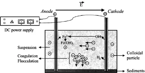 Gambar 2.3. Prinsip dari proses elektrokoagulasi (Ni’am, 2007) 
