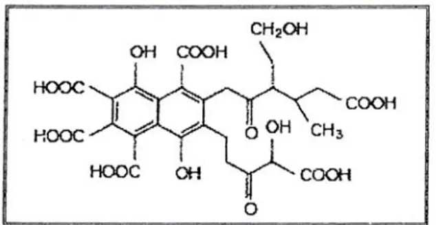 Gambar 2.2. Model struktur asam fulvat berdasarkan Buffle et al. (1977). 