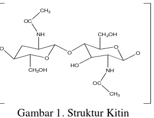 Gambar 1. Struktur Kitin 