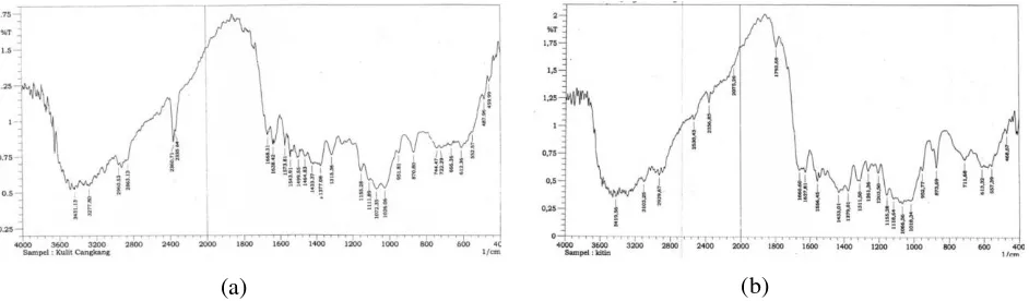 Gambar 2. Spektra FT – IR (a) Cangkang Udang; (b) Kitin 