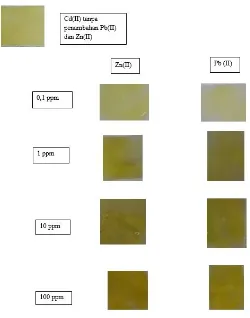 Gambar 1. Warna Kompleks Pengaruh Pb(II) dan Zn(II) dengan Metode PAD-Cd(II) 