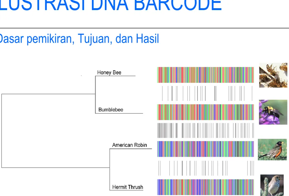 ILUSTRASI DNA BARCODE  