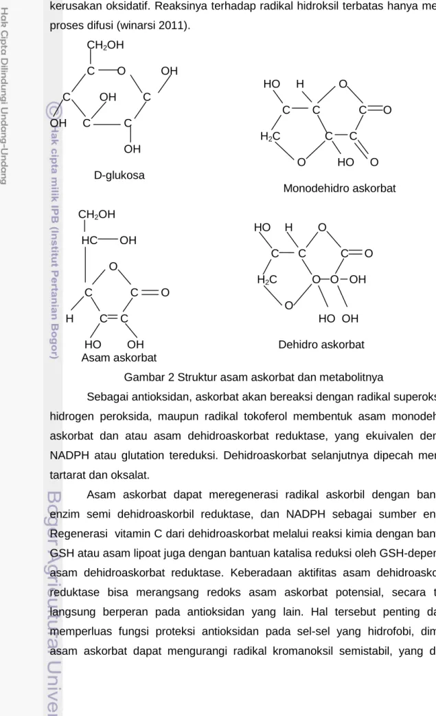 Gambar 2 Struktur asam askorbat dan metabolitnya 