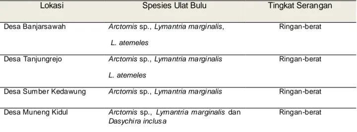 Tabel  1.  Spesies  ulat  bulu  yang  menyerang  tanaman  mangga  di  Probolinggo  dan  tingkat  serangannya