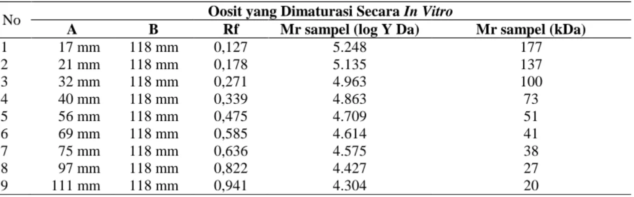 Tabel 3.  Perhitungan Massa Molekul Relatif (Mr). 