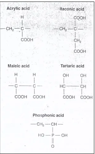 Gambar 1. Komponen-komponen asam yang digunakan dalam semen ionomer kaca 18
