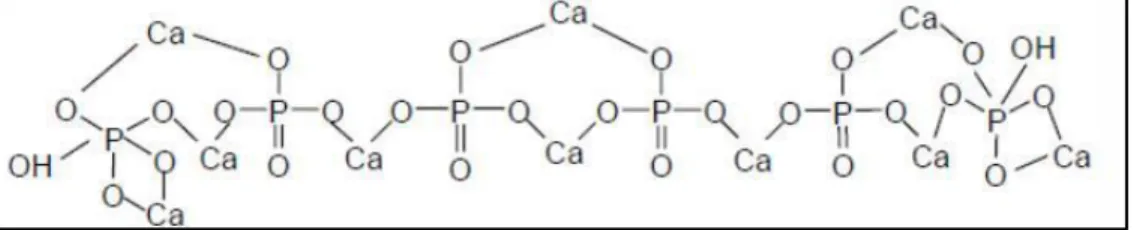Gambar 3. Struktur Kimia Hidroksiapatit 8 