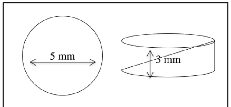 Gambar 5. Bentuk dan Ukuran Sampel 