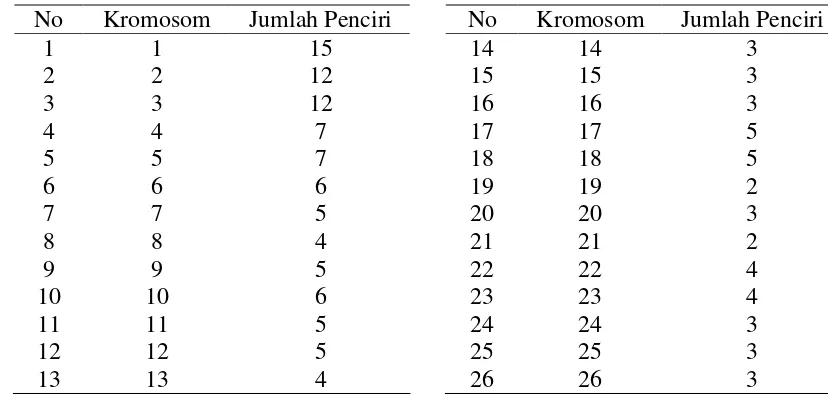 Tabel 6. Penciri mikrosatelit per kromosom 