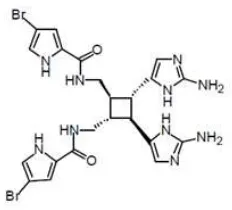 Figure 2. Oroidin compound 