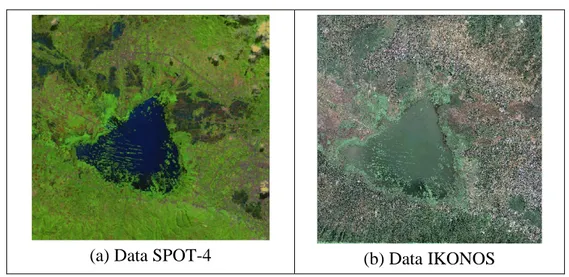 Gambar 8. Perbandingan batas permukaan air danau tanpa vegetasi air dari               data SPOT (garis putih) dan batas permukaan air danau dari                          data IKONOS (atas) pada citra IKONOS 