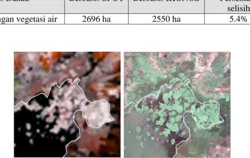 Gambar 8. Batas permukaan air danau dengan vegetasi air dari data SPOT, yang             ditampilkan diatas data SPOT (kiri) dan data IKONOS (kanan) 