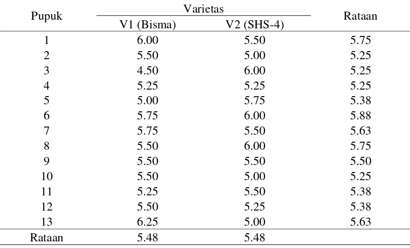Tabel 6. Rataan jumlah daun diatas tongkol (helai) dengan perlakuan varietas dan pupuk N, P 