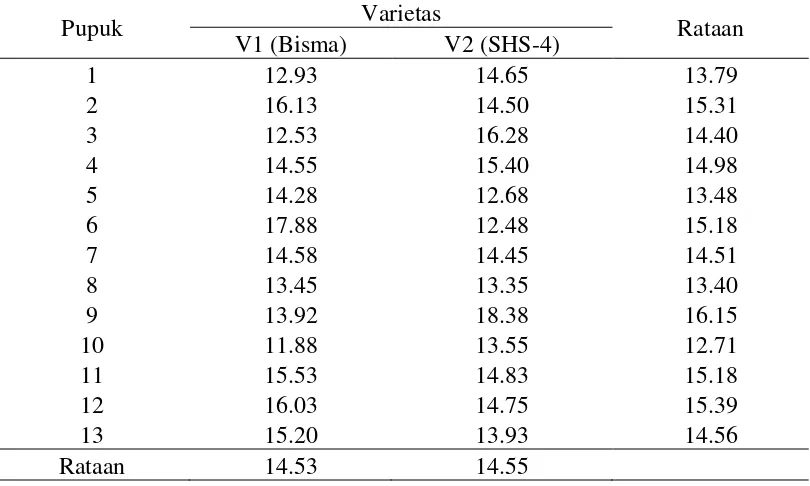 Tabel 5. Rataan panjang tongkol (cm) dengan perlakuan varietas dan pupuk N, P 