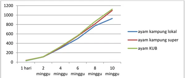 Tabel  2.  Rataan  bobot  Badan  3  jenis  ayam  kampung  umur  2  minggu    yang  dipelihara di 3 sistem perkandangan yang berbeda