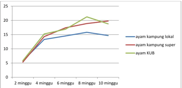 Tabel  8.  Rataan  pertambahan  bobot  badan  3  jenis  ayam  kampung  umur  0-2  minggu yang dipelihara di 3 sistem perkandangan yang berbeda
