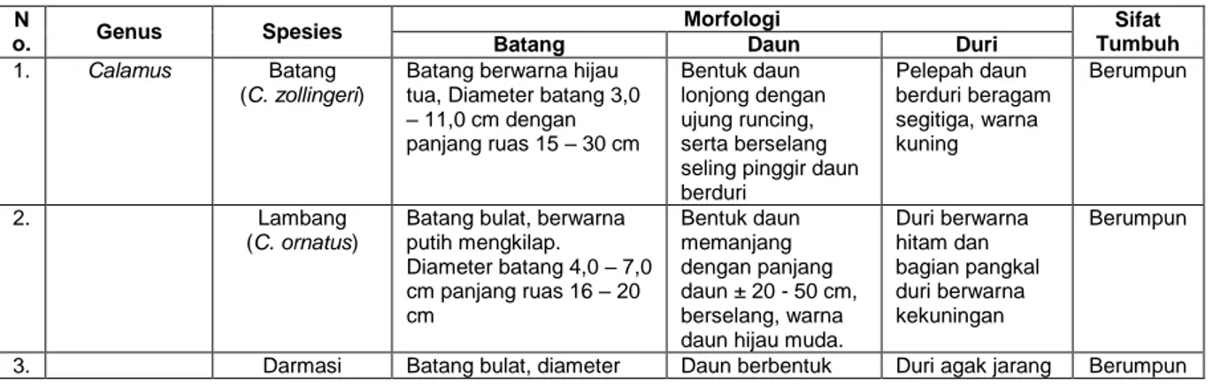 Tabel 1. Perbedaan Morfologi Jenis Rotan  