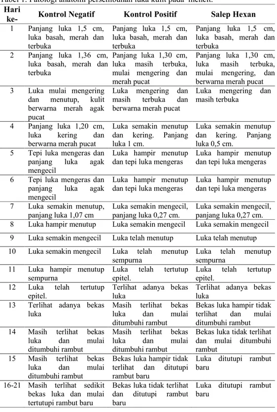 Tabel 1. Patologi anatomi persembuhan luka kulit pada  mencit.  Hari 