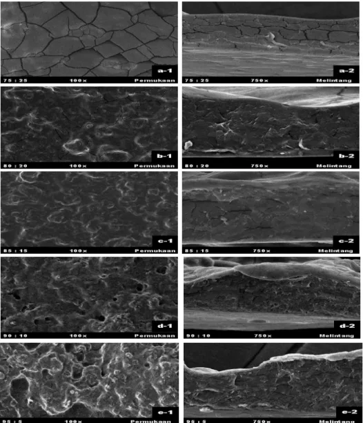Gambar 2. Scanning electron micrograph luas permukaan (-1) dan luas penampang melintang (-2) edible film  kombinasi 75:25 (a), 80:20 (b), 85:15 (c), 90: 5 (d) dan 95:5 (e) (scanning electron micrograph of surface area  