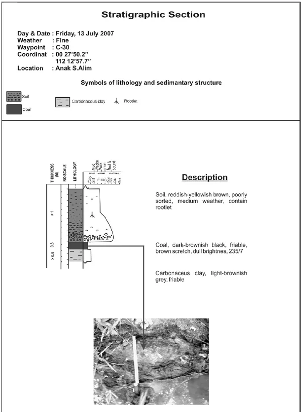 Gambar 4. Penampang stratigrafi  S. Alim 