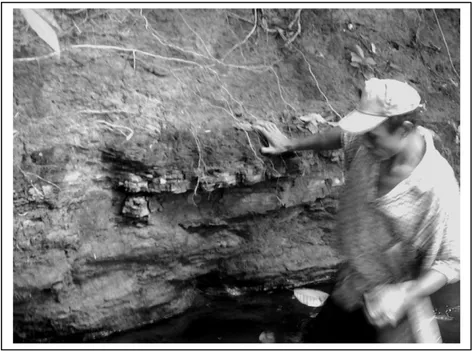 Gambar 6. Singkapan batubara di tebing S.Teblian, lokasi IH-01.                               Ketebalan terukur 30 cm (data lama tercatat 70 cm) 