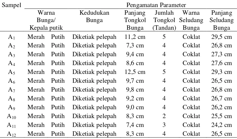 Tabel 4. Karakter morfologis bunga 